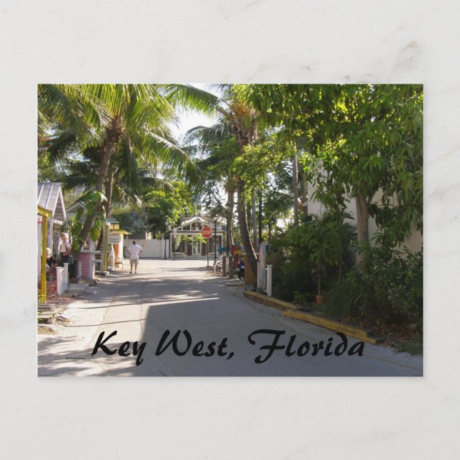 Key West, Florida Postcard (Front)