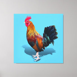 Key West - Gypsy Rooster Canvas Print