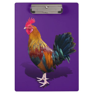 Key West - Gypsy Rooster  Clipboard