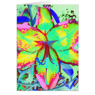 Key West Lily