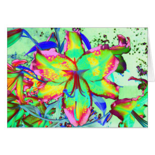 Key West Lily