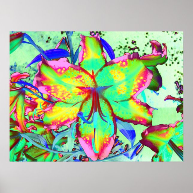 Key West Lily, green pink tropical flowers  Poster (Front)