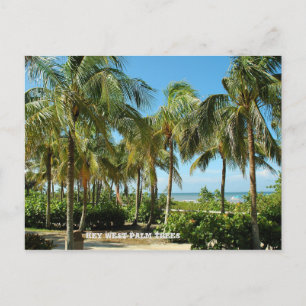 Key west Palm Trees Postcard