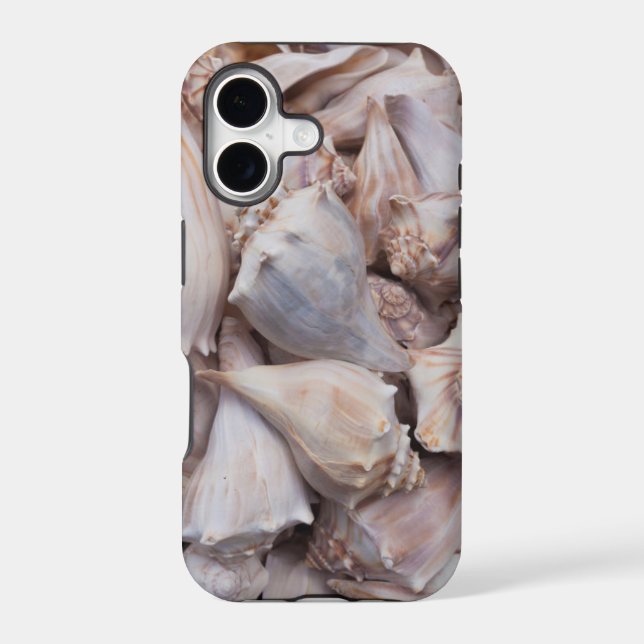 Key West, seashells (Back)