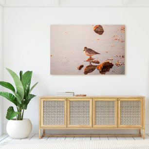 Key West Shorebird Reflection Florida Keys Canvas Print