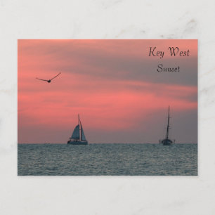 Key West  Sunset Postcard