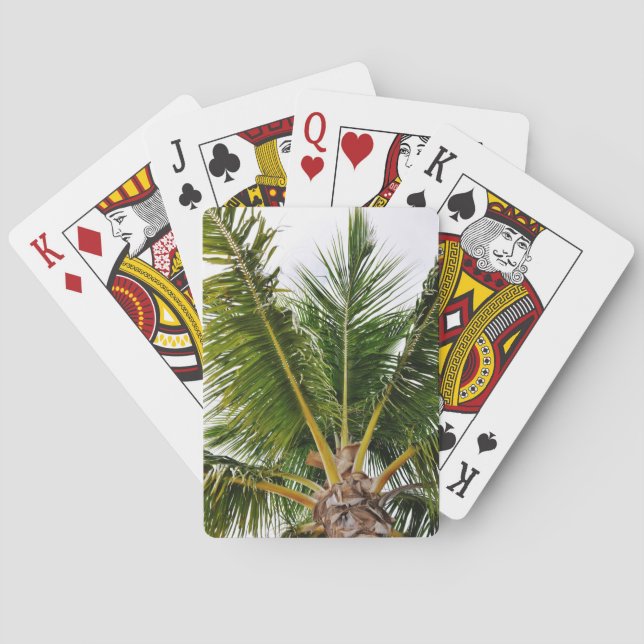 Key West,Tropical, Palm Tree Playing Cards (Back)