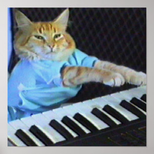 Keyboard Cat Canvas Print! Poster