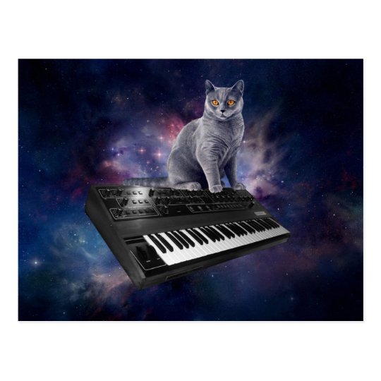 keyboard cat - cat music - space cat postcard