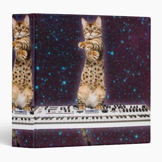 Keyboard cat strikes again binder (Front/Spine)