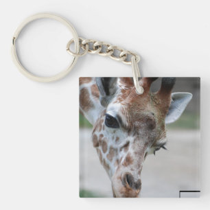 keychain acrylic keychains - Customized