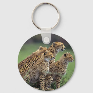 Keychain-Cheetah's Keychain