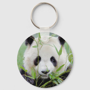 keychain Photo giant panda , animals 0218.
