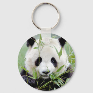 Keychain photo giant panda. Panda geant.