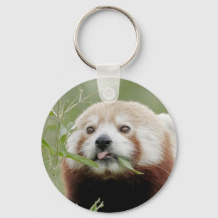 keychain Photo red panda , animals 0325.