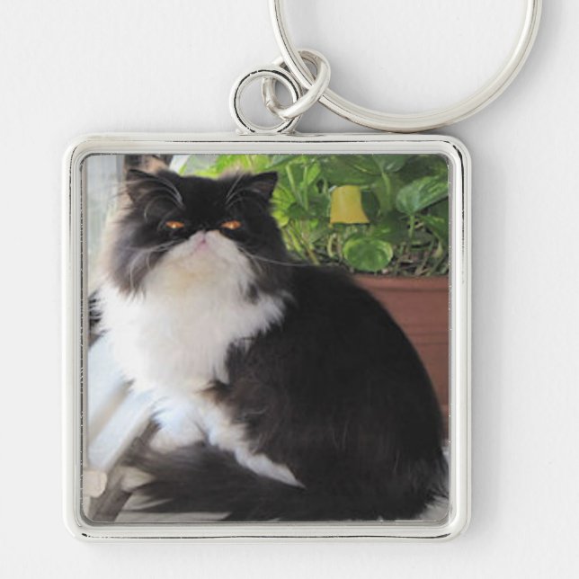 Keychain with a cat on it. (Front)