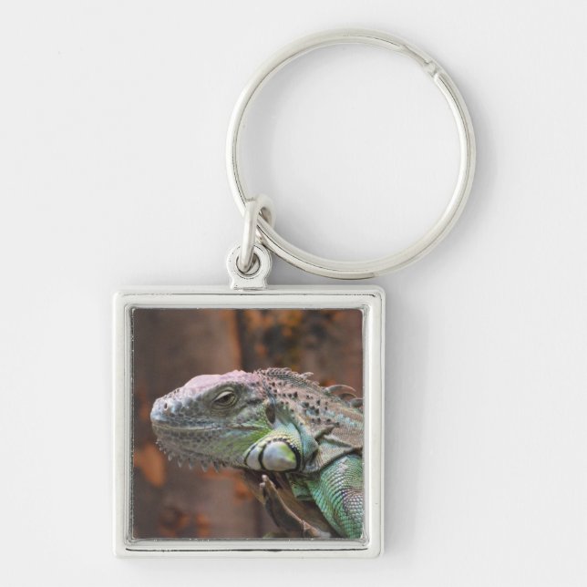 Keychain with colourful Iguana lizard (Front)
