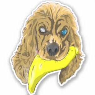 Keys & Banana, the Miniature cocker spaniel