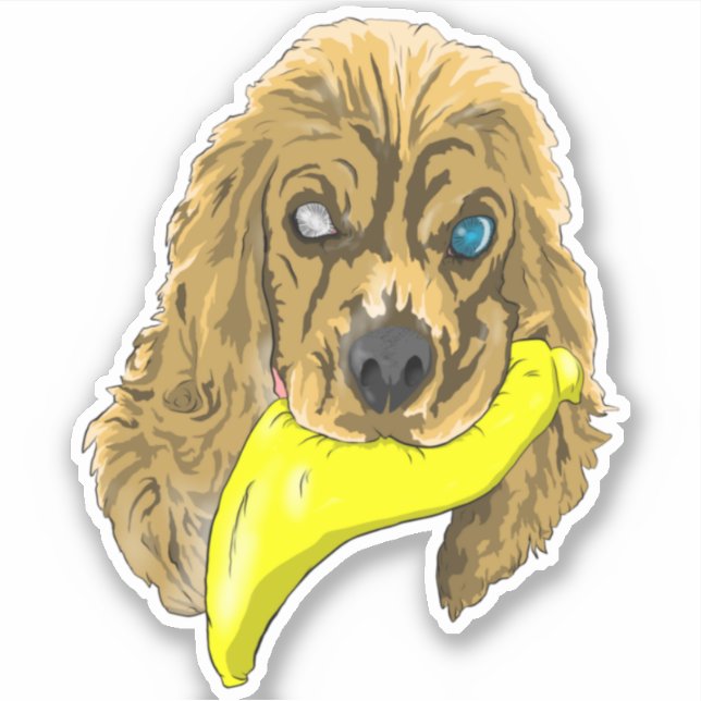  Keys & Banana, the Miniature cocker spaniel (Front)