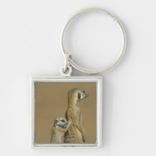 Kgalagadi National Park, Botswana, Africa Keychain