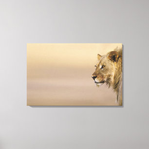 Kgalagadi Transfrontier Park, Northern Cape Canvas Print