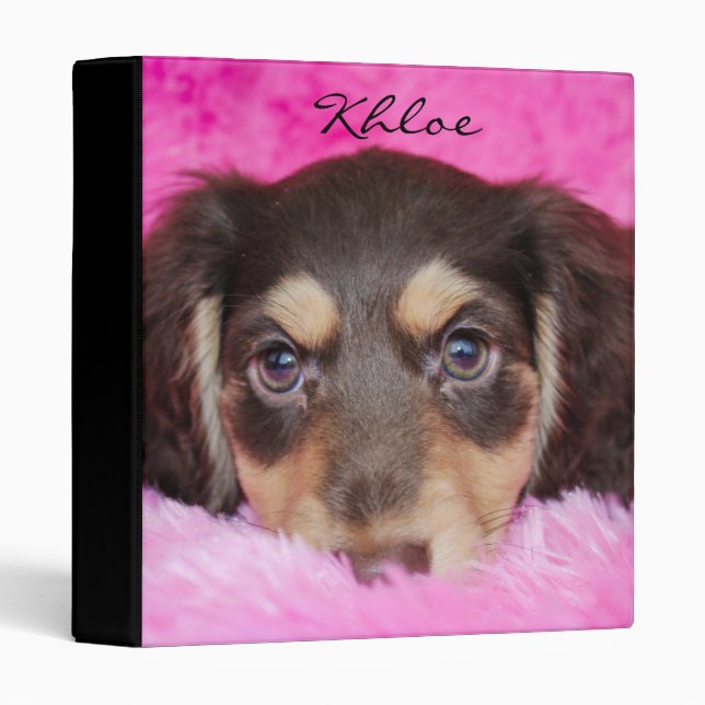Khloe 10wks Keepsake Binder (Front/Spine)