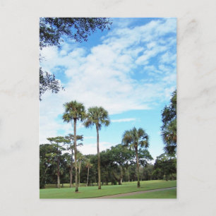 Kiawah Island Postcard