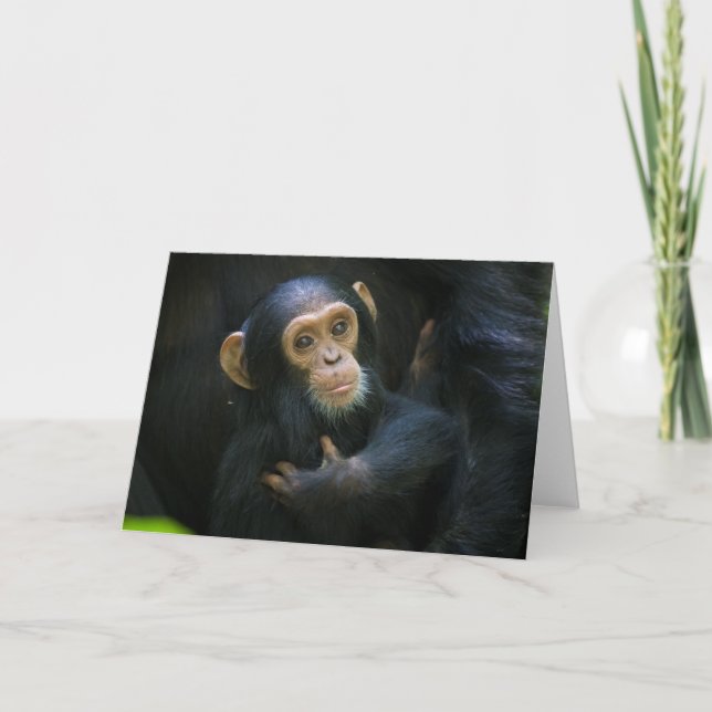 Kibale Chimpanzee Infant Greeting Card (Front)