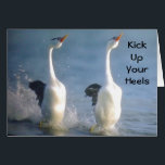 KICK UP YOUR HEALS" GEESE STYLE FOR "BIRTHDAY"<br><div class="desc">This pair of dancing geese "know how to celebrate" and they sure are beautiful doing it, too. Send this great card to someone in Your Life, today for his or her BIRTHDAY (or change it to any time you wish in seconds) THANKS for stopping by 1 of my 8 stores!...</div>