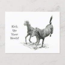 Kick Up Your Heels Postcrossing Postcard
