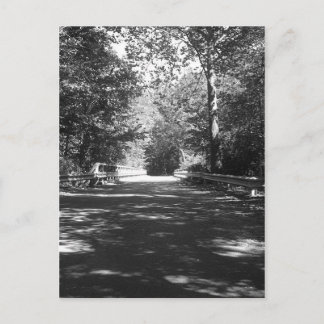 Kickapoo State Park Bridge Postcard