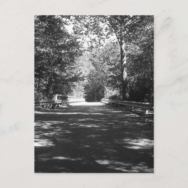 Kickapoo State Park Bridge Postcard (Front)