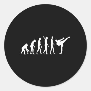 Kickboxing Evolution Karate Arti Taekwondo Judo  Classic Round Sticker