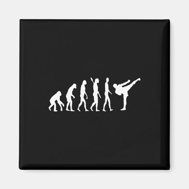 Kickboxing Evolution Karate Arti Taekwondo Judo  Magnet (Front)
