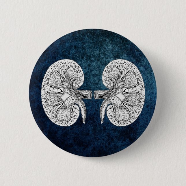 KIDNEY 2 DRAWING 2 INCH ROUND BUTTON (Front)