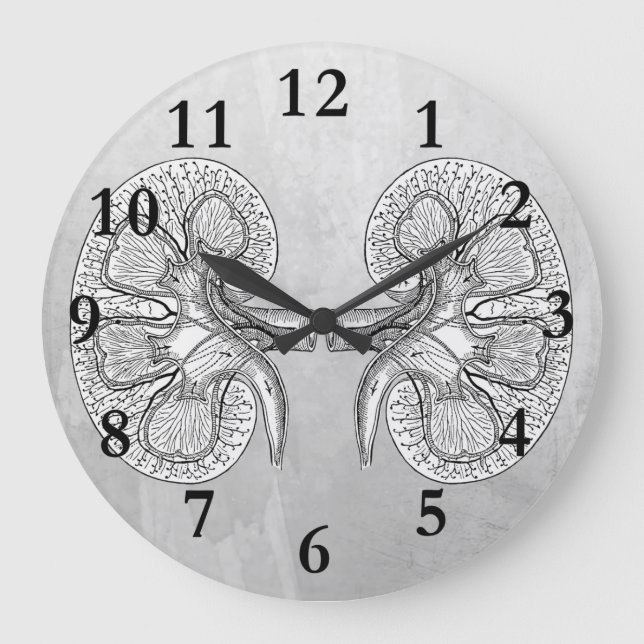 KIDNEY 2 DRAWING LARGE CLOCK (Front)