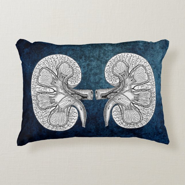 KIDNEY 2 DRAWING PILLOW (Front)