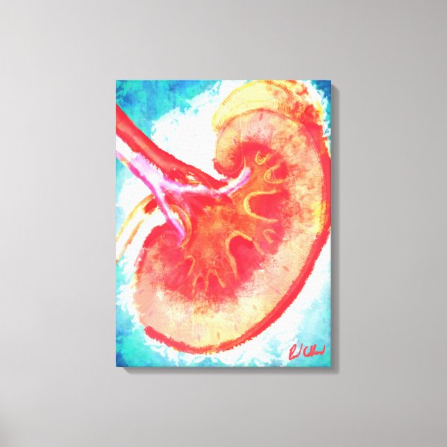 Kidney Bisection Canvas Print (Front)