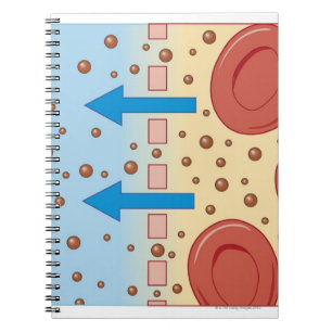 Kidney Dialysis Notebook