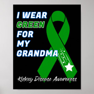 Kidney Disease Awareness Dialysis Transplant Patie Poster