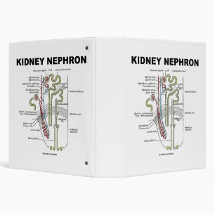 Kidney Nephron Grey's Anatomy Textbook  Binder