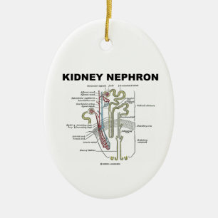 Kidney Nephron (Grey's Anatomy Textbook) Ceramic Ornament