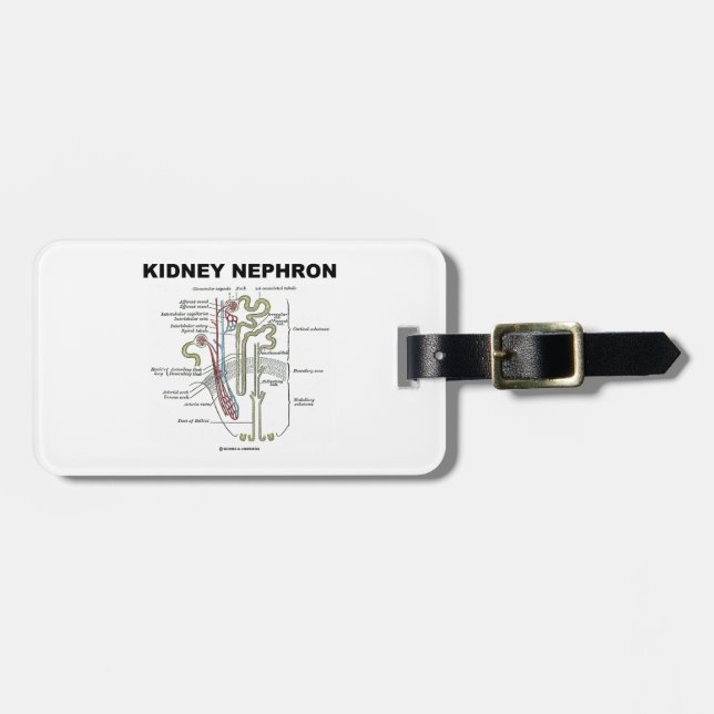 Kidney Nephron (Grey's Anatomy Textbook) Luggage Tag (Front Horizontal)