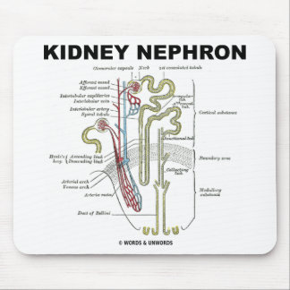 Kidney Nephron Mouse Pad