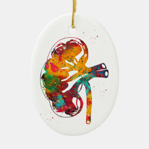 Kidney section ceramic ornament