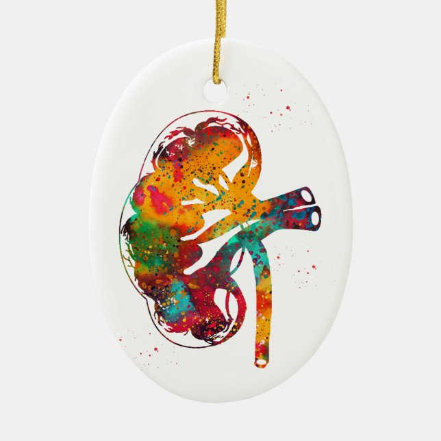 Kidney section ceramic ornament (Front)