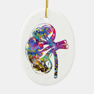 Kidney section ceramic ornament