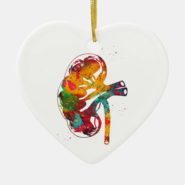 Kidney section ceramic ornament (Front)