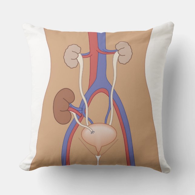 Kidney Transplant Throw Pillow (Front)