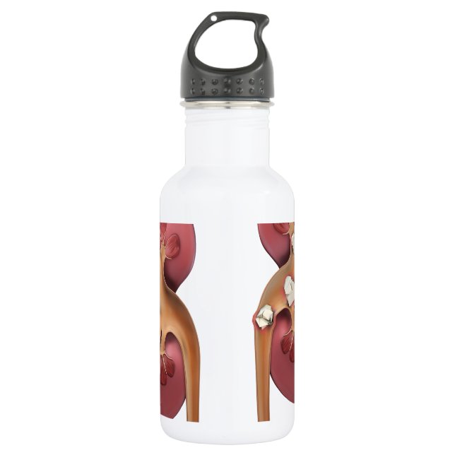 kidneys 532 ml water bottle (Front)